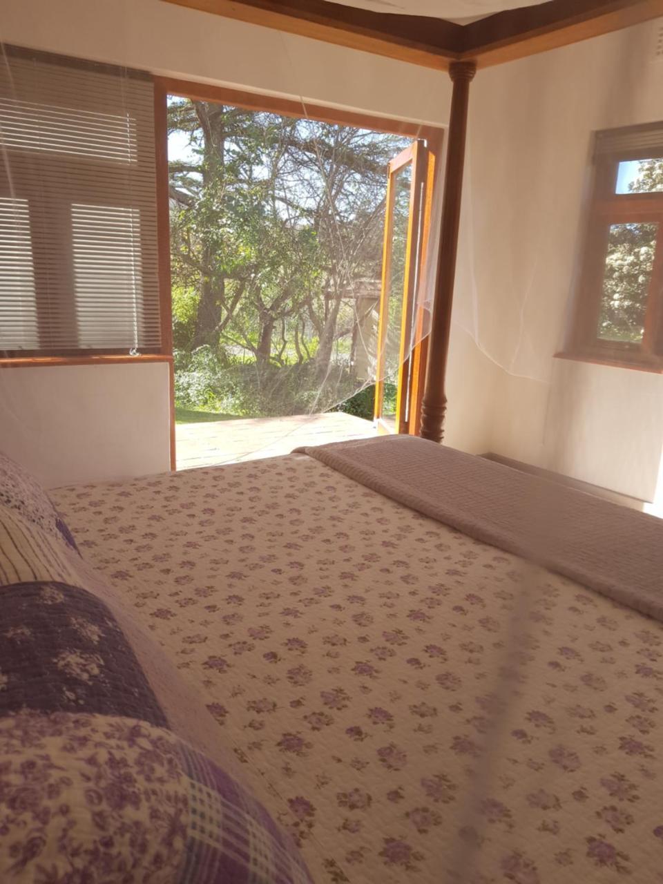 Te Amo Guesthouse สเตลเลนบอช ภายนอก รูปภาพ